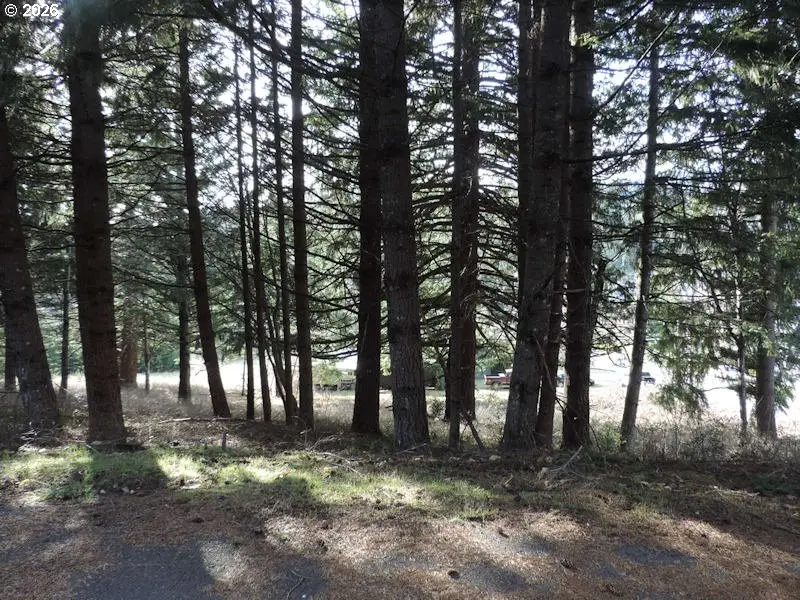 Sophie Ln, Carson, WA 98610 - #1