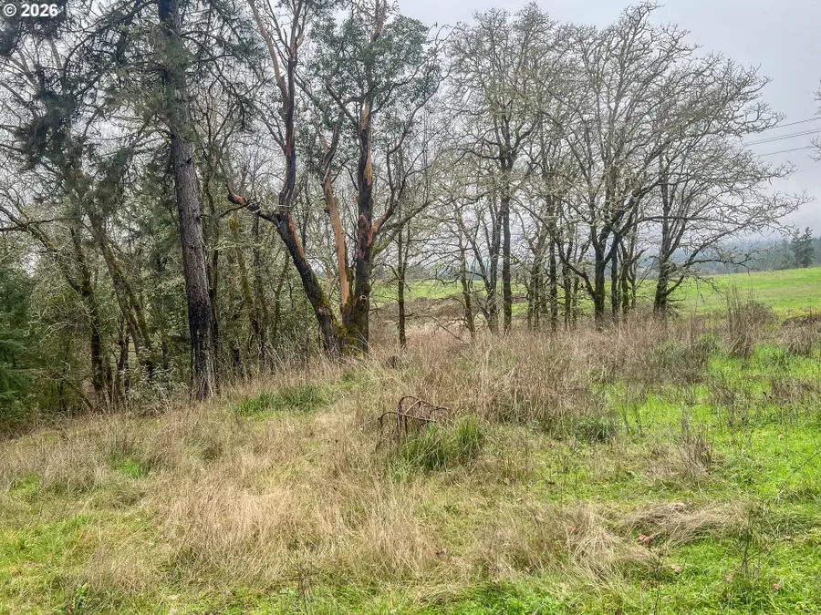 1698 Doerner Rd, Roseburg, OR 97471 - #3