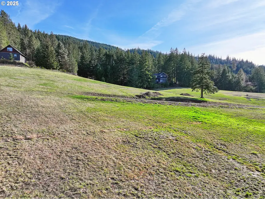 2 Graham Ln, Whitesalmon, WA 98672 - #2