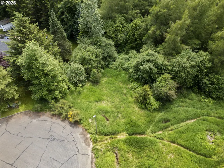 0 W Christy St, Yacolt, WA 98675 - #3