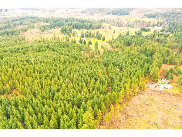 Anthony Creek Rd #TL700, Dexter, OR 97431
