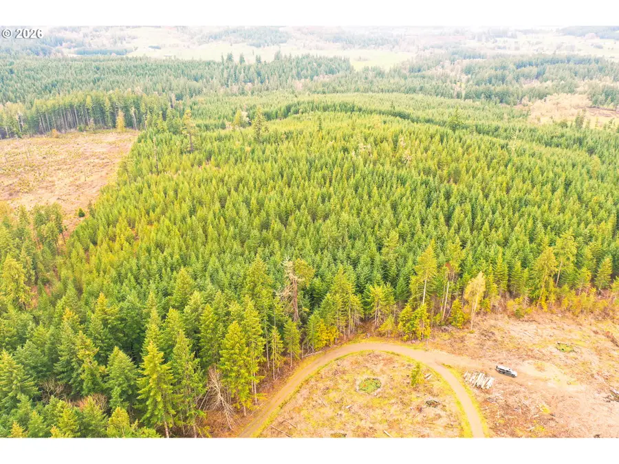 Anthony Creek Rd #TL700, Dexter, OR 97431 - #2