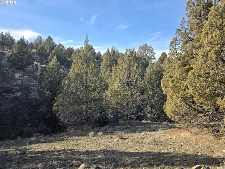 Laycock Creek Rd., Mount Vernon, OR 97865 - #2