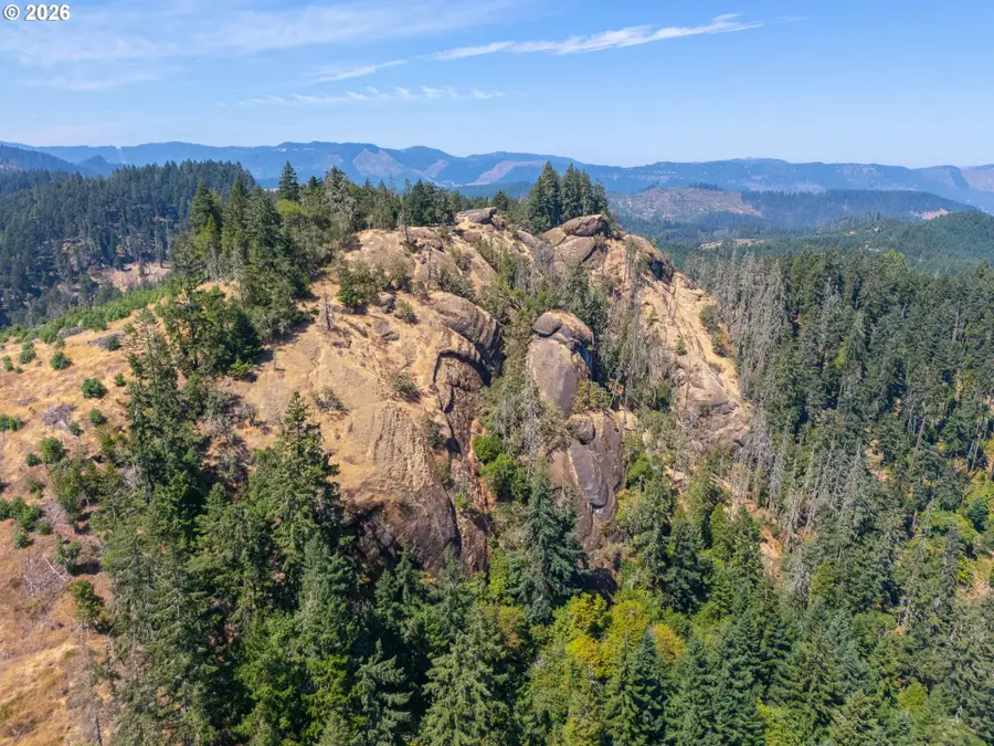 Strickland Canyon Rd #TL100, Roseburg, OR 97471 - #2