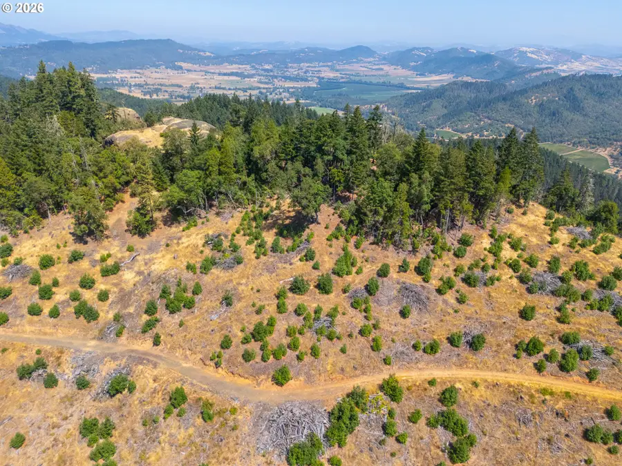 Strickland Canyon Rd #TL100, Roseburg, OR 97471 - #3