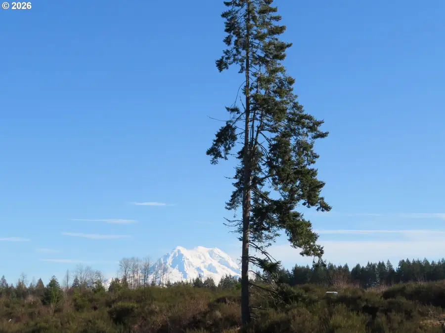 2906 357th St E, Eatonville, WA 98328 - #2