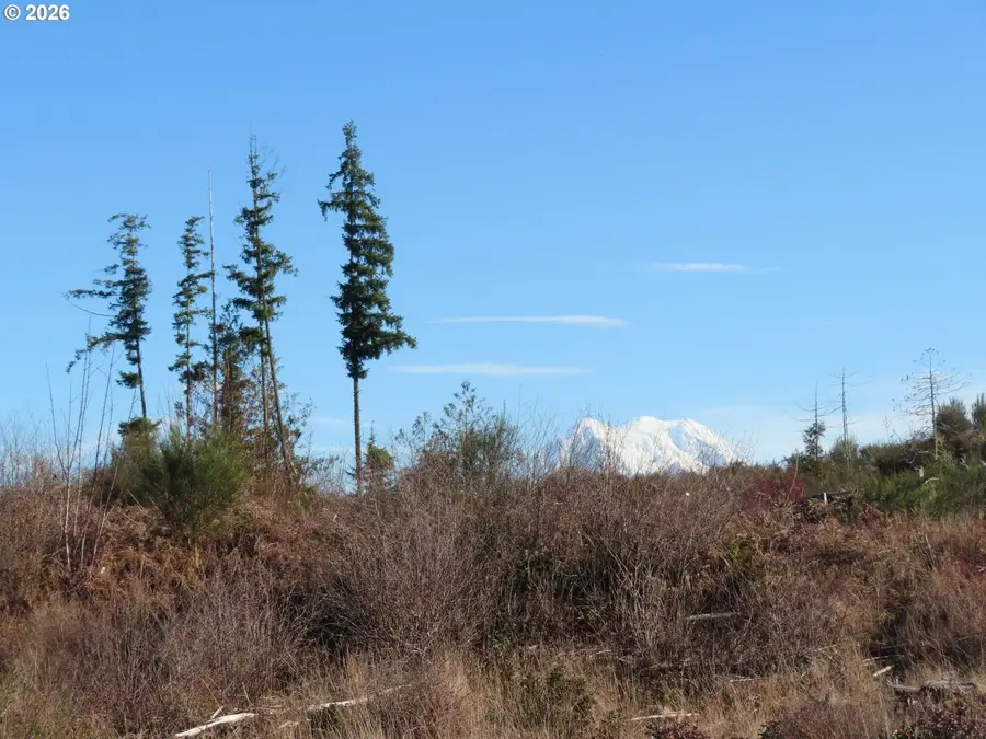 2906 357th St E, Eatonville, WA 98328 - #3