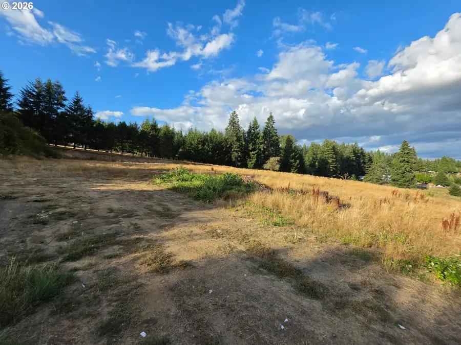 19305 S Lyons Rd, Redland, OR 97045 - #3