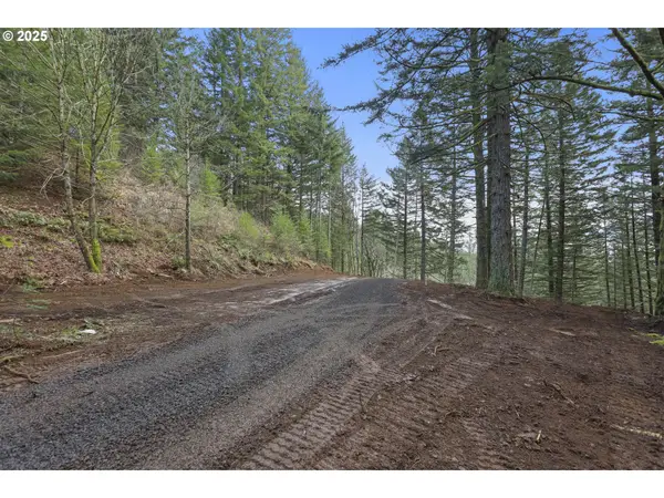 Kueffler Rd, Skamania, WA 98648