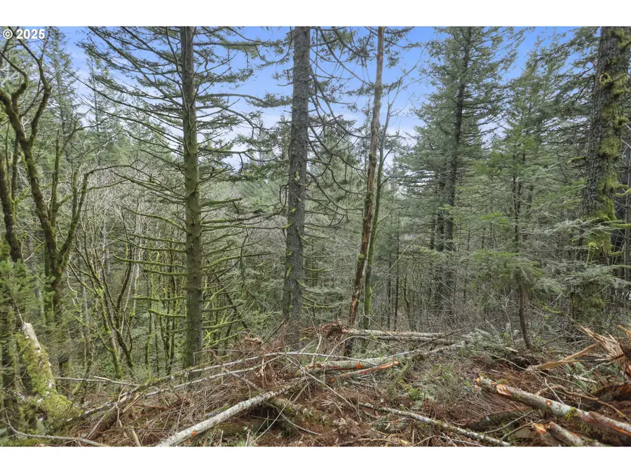 Kueffler Rd, Skamania, WA 98648 - Image #2