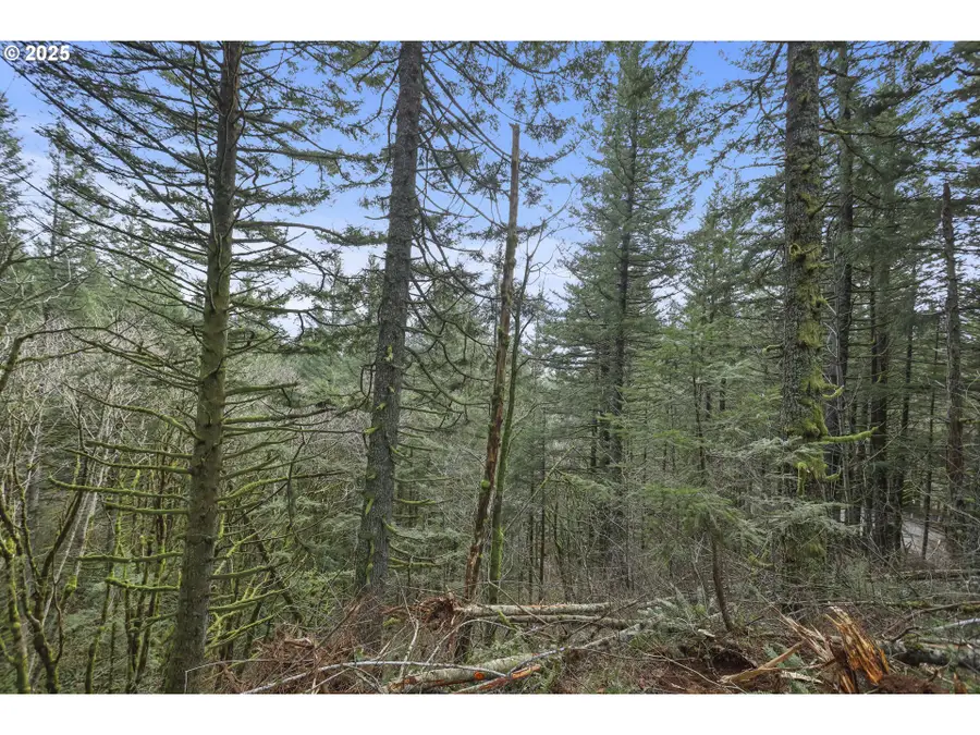 Kueffler Rd, Skamania, WA 98648 - Image #3