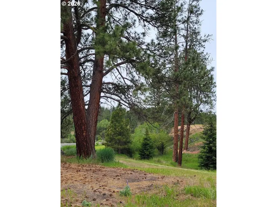 0 Coombs Loop, Starkey, OR 97850 - #2