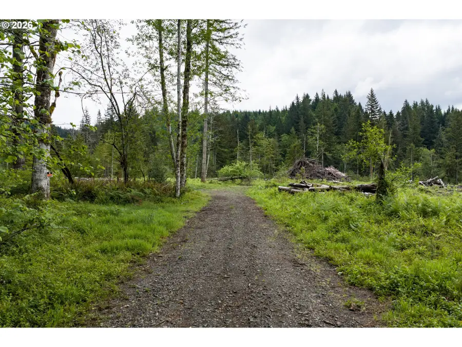 N Fork Road, Washougal, WA 98671 - #2
