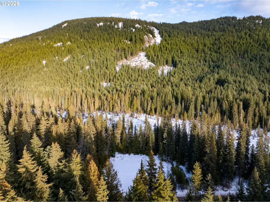 93732 E Highway 26, Mount Hood, OR 97028 - Image #2