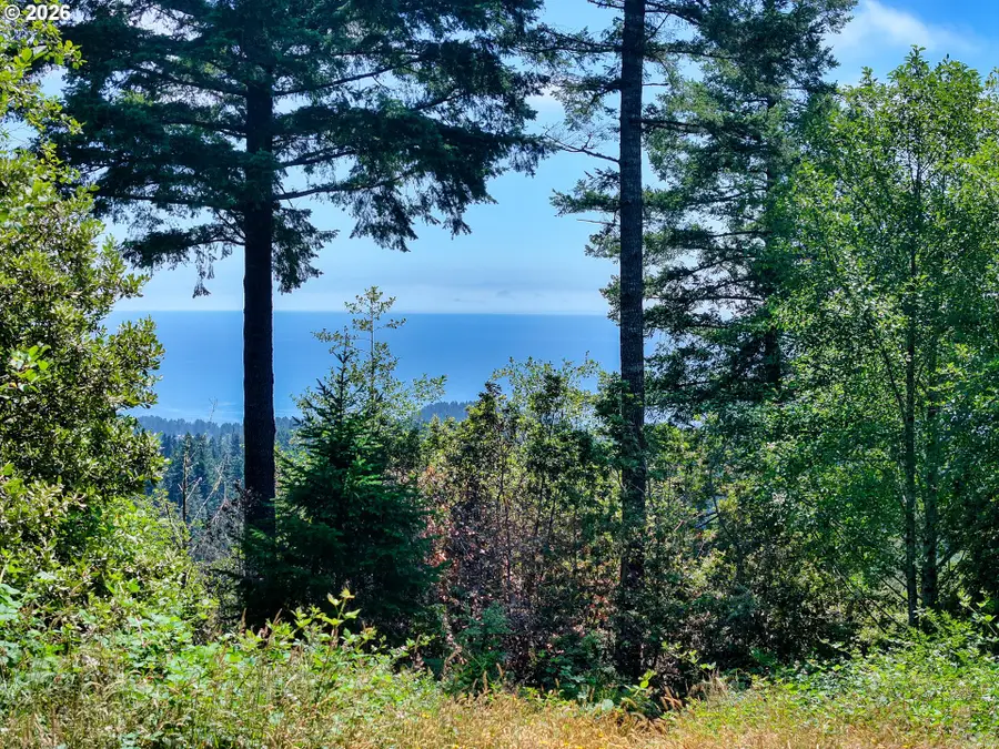 18768 Olympia Rd, Brookings, OR 97415 - #3