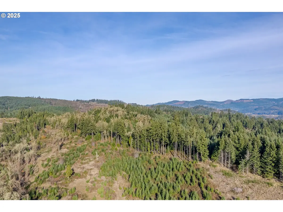 Holly - Lot 2, Cottage Grove, OR 97424 - Image #1
