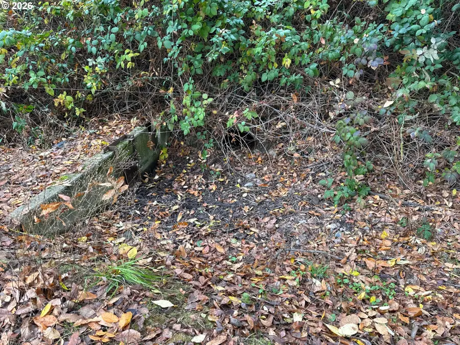 219 Columbia St, Jefferson, OR 97352 - Image #3