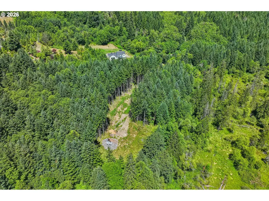 172 Mohawk Ln, Amboy, WA 98601 - #2