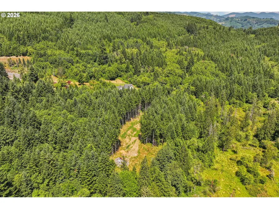 172 Mohawk Ln, Amboy, WA 98601 - #3
