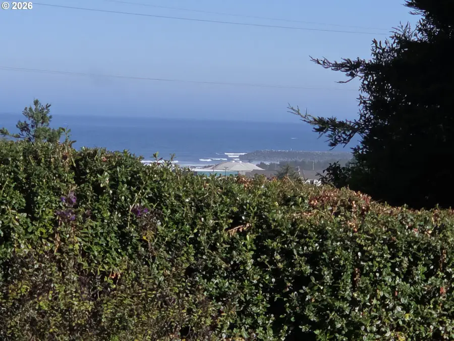 29224 Skunk Run Rd, Gold Beach, OR 97444 - #2