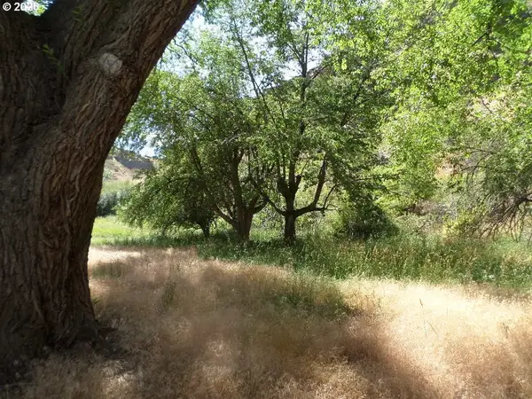 74170 Imnaha Highway, Joseph, OR 97846