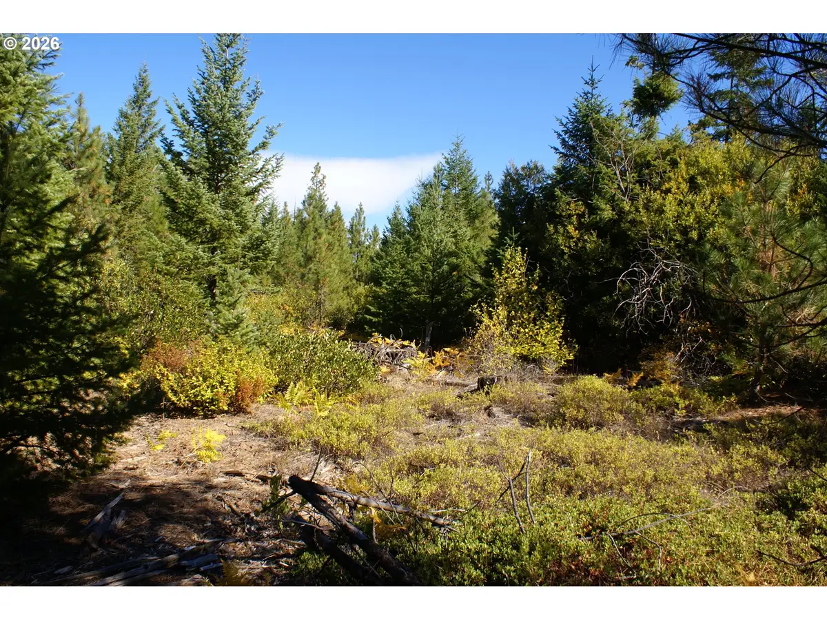 Cedar Valley Rd, Goldendale, WA 98620 - #1
