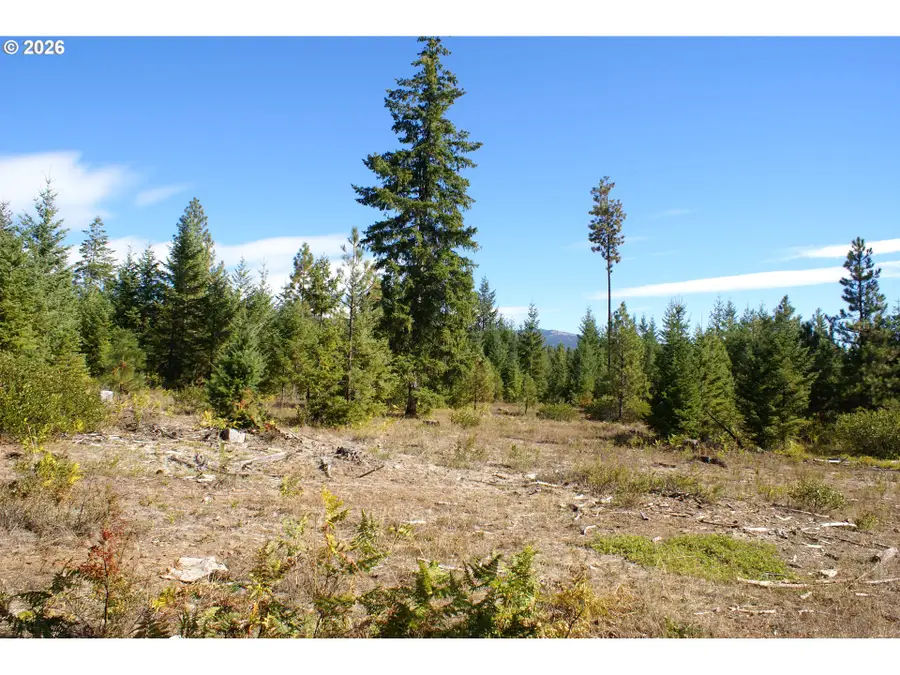 Cedar Valley Rd, Goldendale, WA 98620 - #2