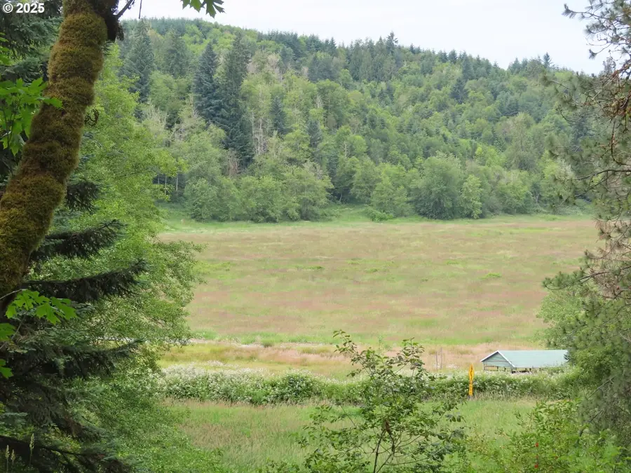 21720 Zenkner Valley Rd, Centralia, WA 98531 - #2