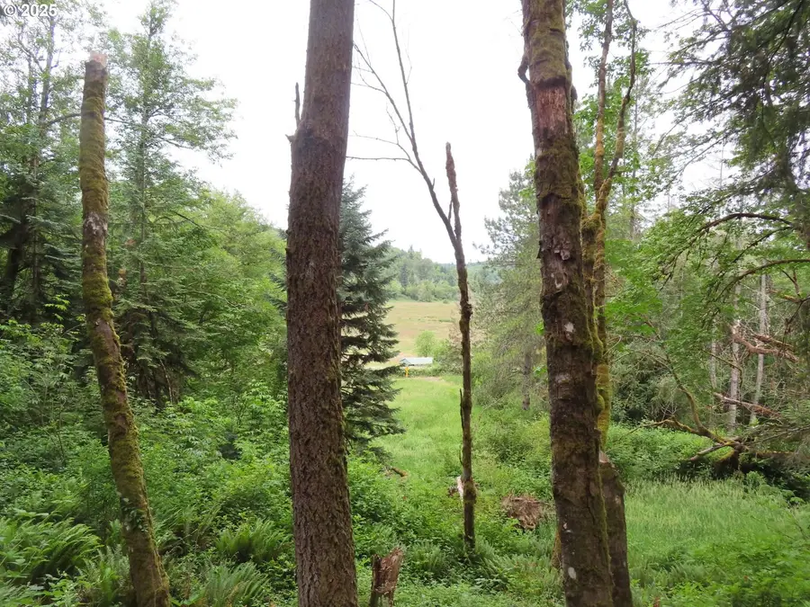 21720 Zenkner Valley Rd, Centralia, WA 98531 - #3