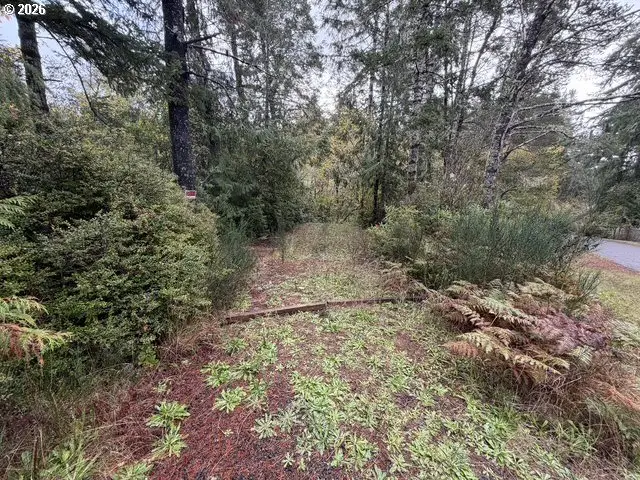 Tl312 Sea Lion Drive, Florence, OR 97439 - #2