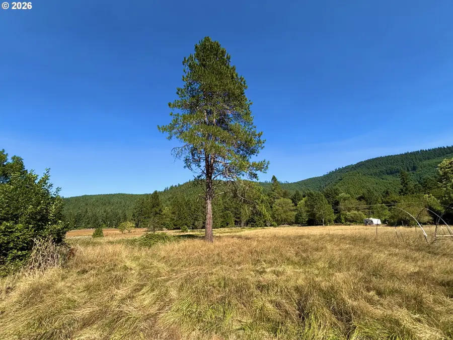 5184 Upper Cow Creek Rd, Azalea, OR 97410 - #2