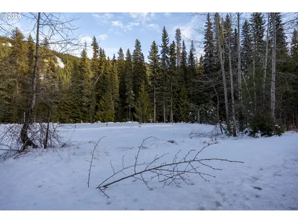 93732 E Highway 26 #101, GovernmentCamp, OR 97028
