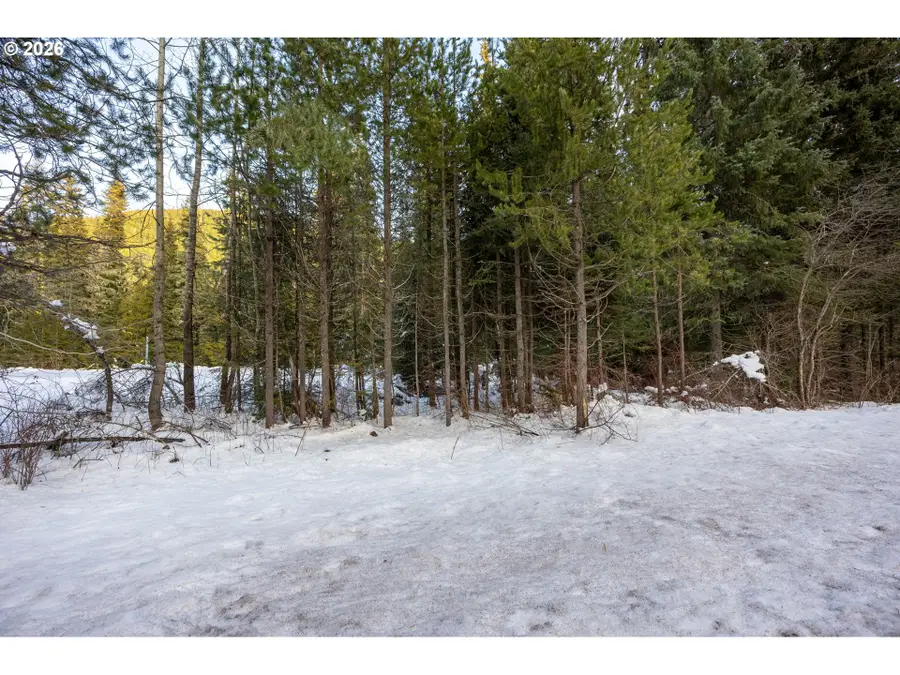93732 E Highway 26 #101, Mount Hood, OR 97028 - #2