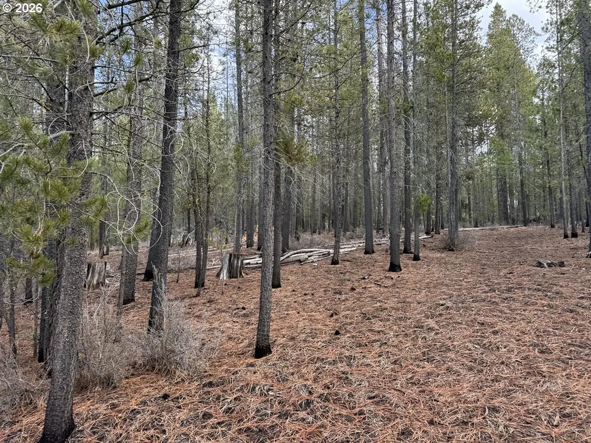 Schoonover 7 #2500, Crescent, OR 97733 - #1