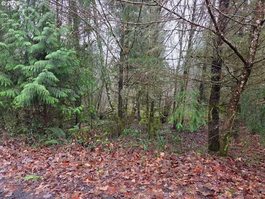 176 White Pine Rd, Castle Rock, WA 98611 - Image #2