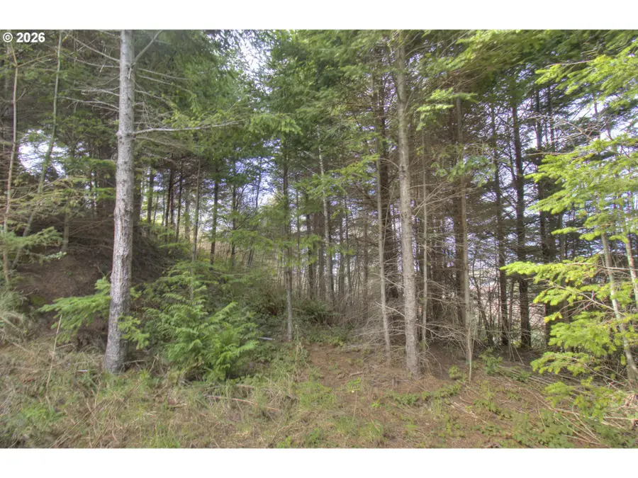 Seaview Ln, Gold Beach, OR 97444 - #3