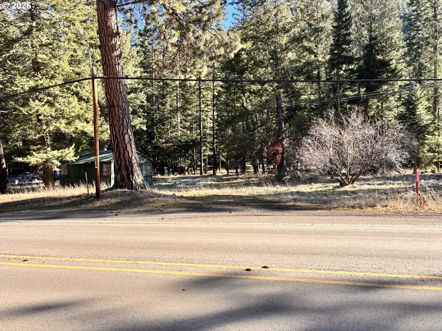 60037 Wallowa Lake Hwy, Joseph, OR 97846 - #3