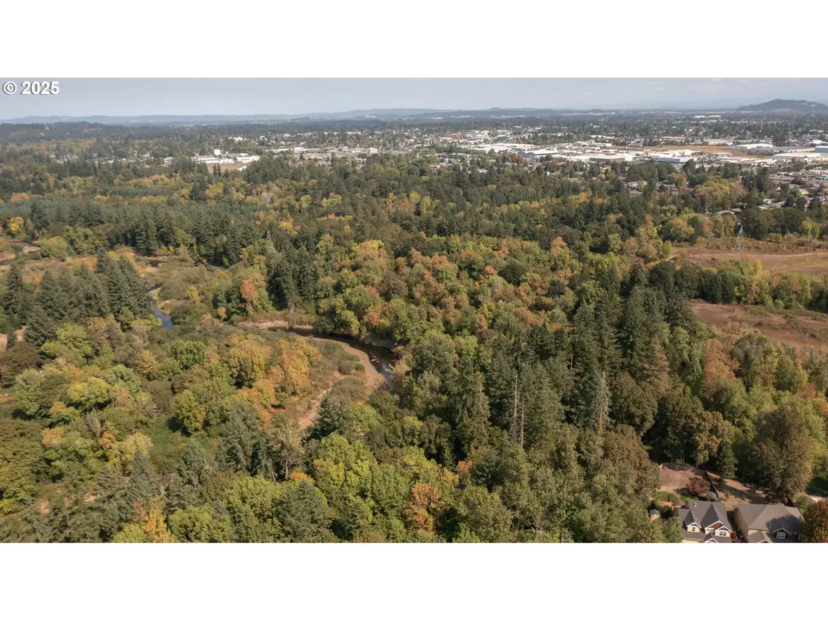 2 Pp2020-49 Lot 2, Albany, OR 97321 - Image #1