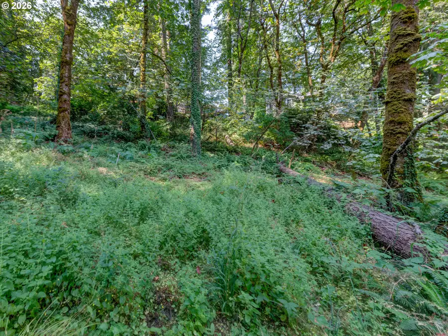 4899 Elva Ln, Eugene, OR 97405 - #3