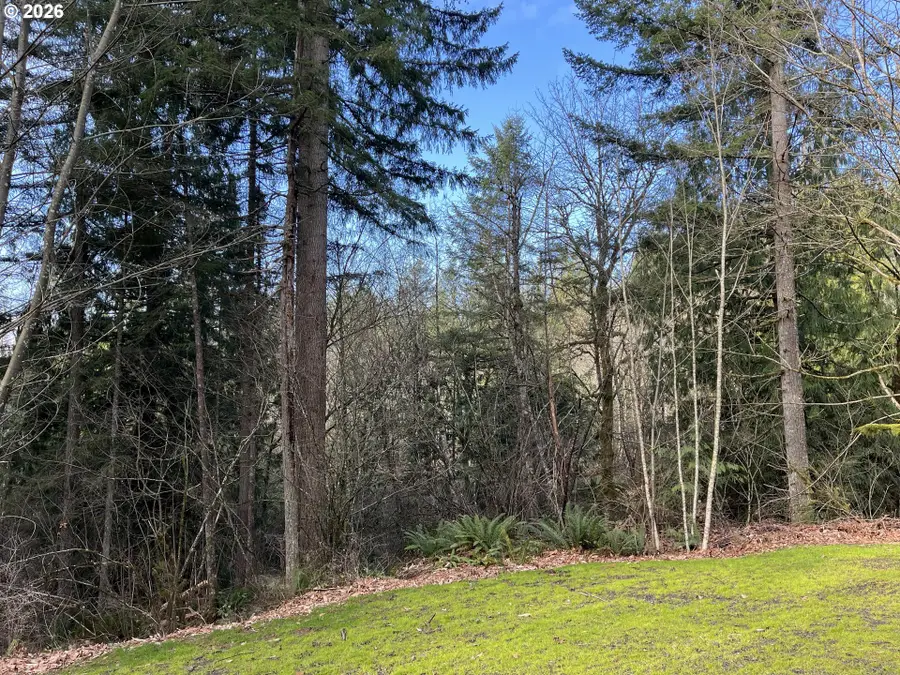 000 NE Schauer Dr, Battle Ground, WA 98604 - #2