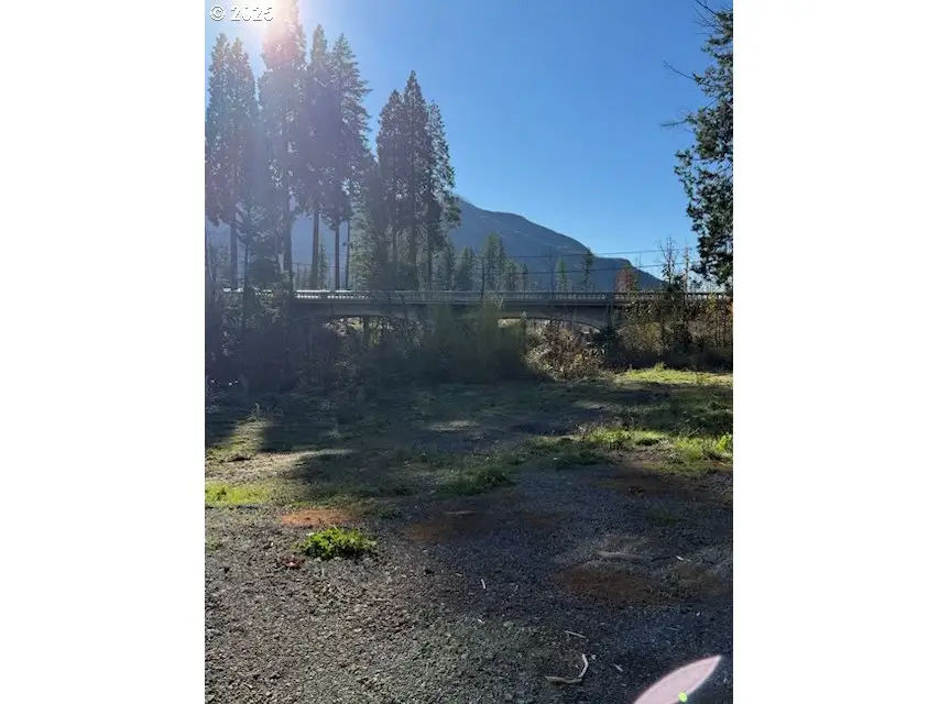 91241 Blue River Rd, McKenzie River, OR 97413 - Image #2