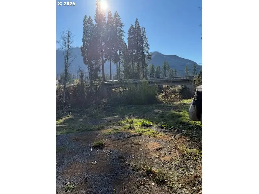 91241 Blue River Rd, McKenzie River, OR 97413 - Image #3