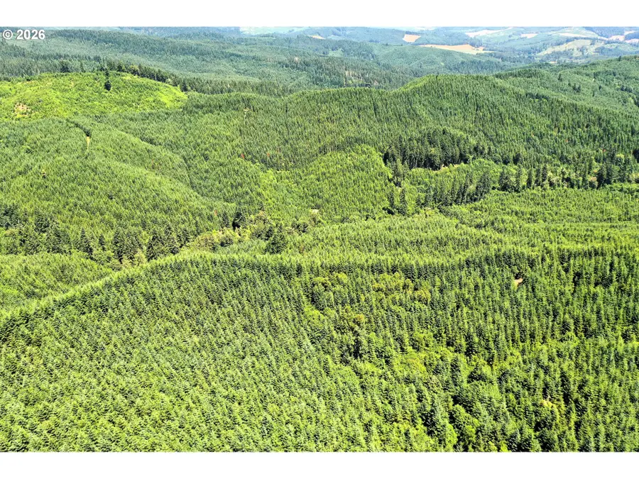 High Pass Rd, Junction City, OR 97448 - #2
