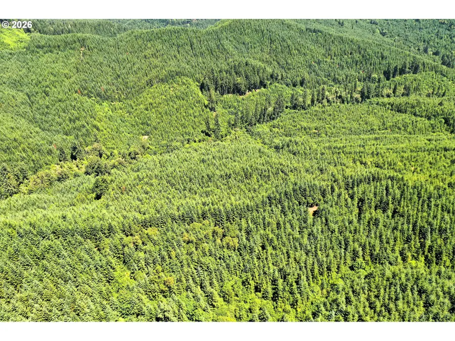 High Pass Rd, Junction City, OR 97448 - #3