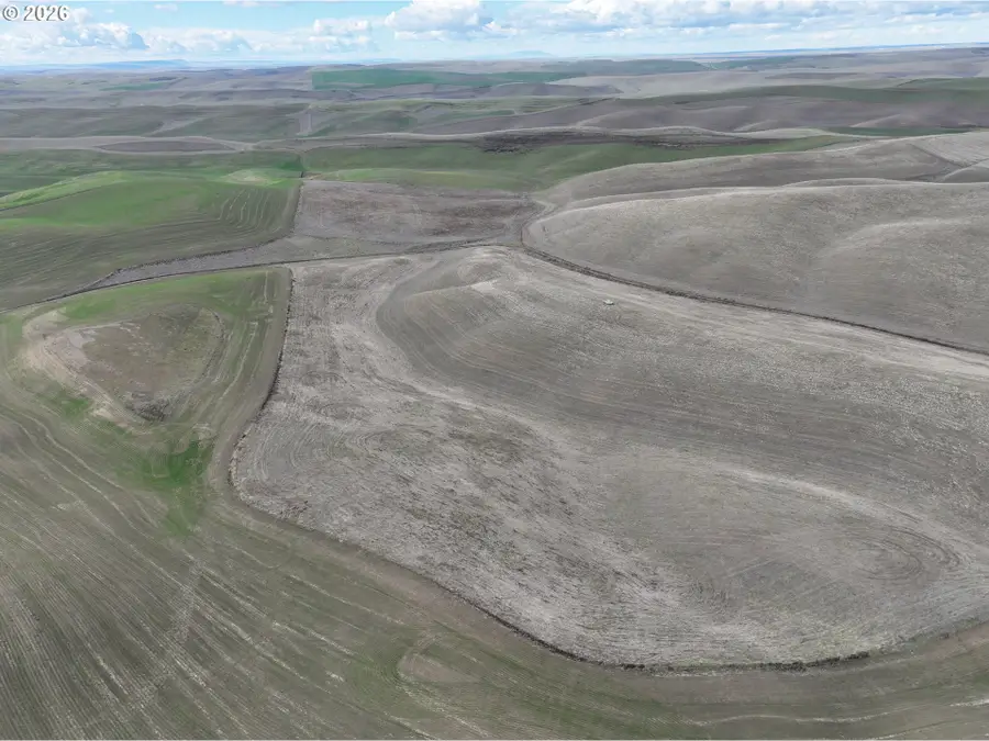 Harvey Shaw Rd, Walla Walla, WA 99362 - #3
