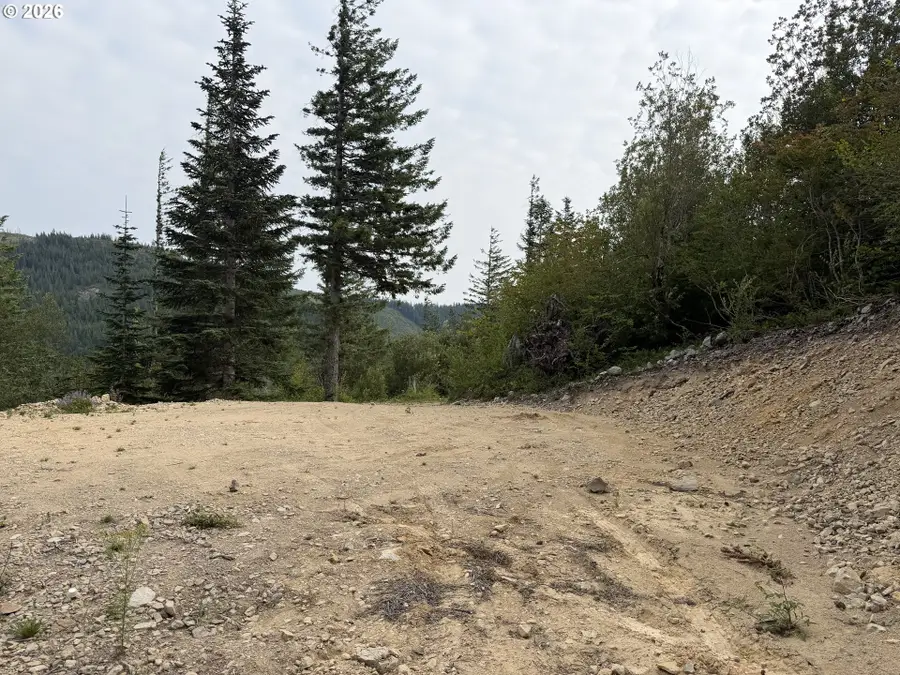 0 Snag Mountain Rd #112, Washougal, WA 98671 - #2