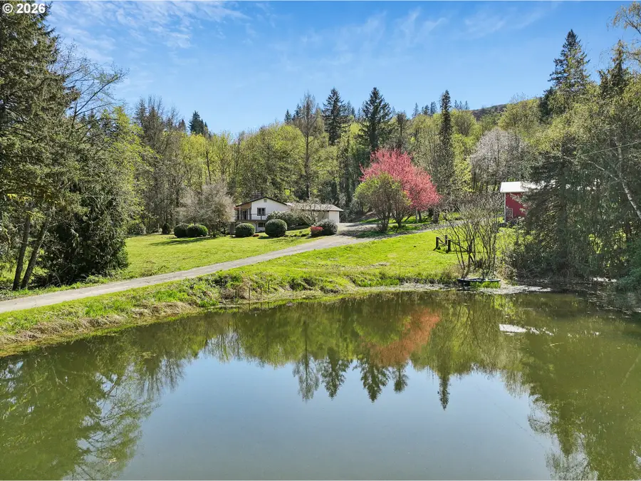 18617 NE 399th St, Amboy, WA 98601 - #3