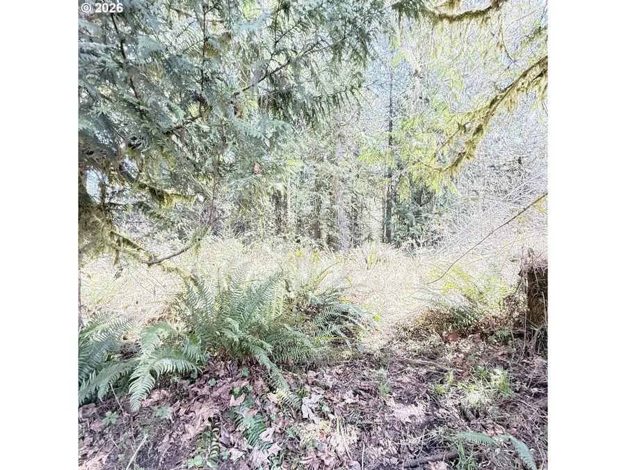 0000 N Louisiana Ave, Vernonia, OR 97064 - #2