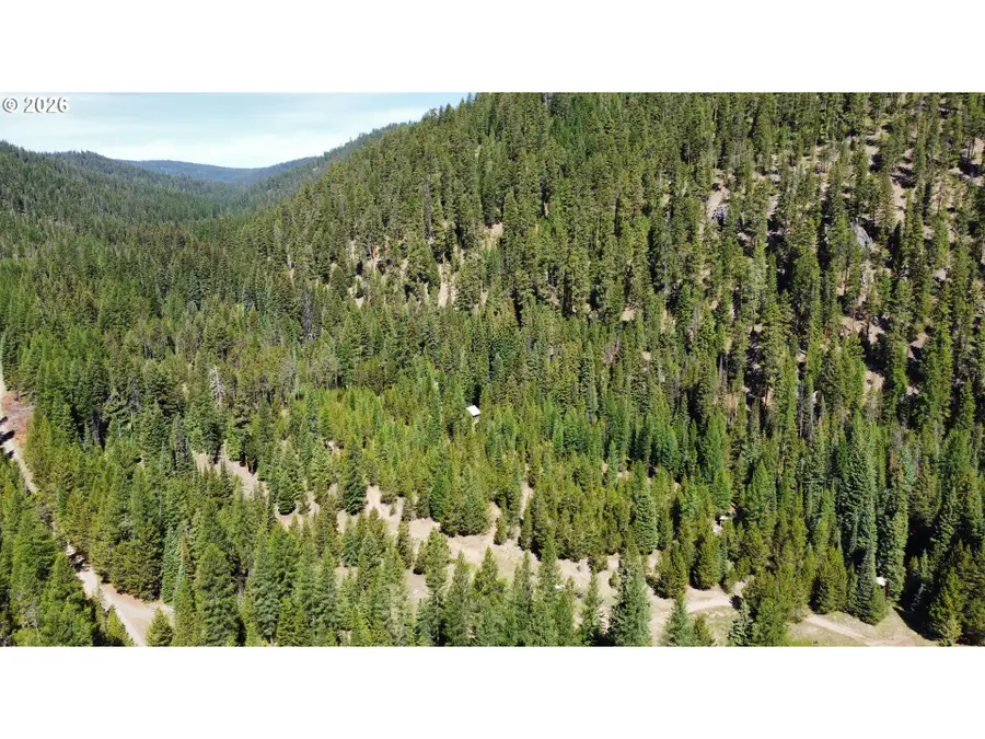 42000 Clear Creek Rd, Granite, OR 97877 - #2