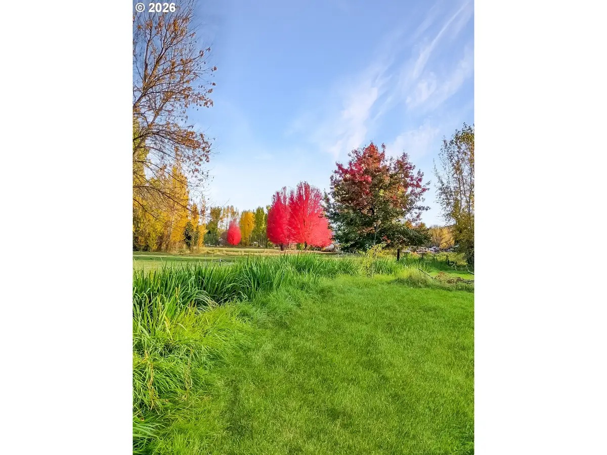 224 N Main St, Halfway, OR 97834 - #1